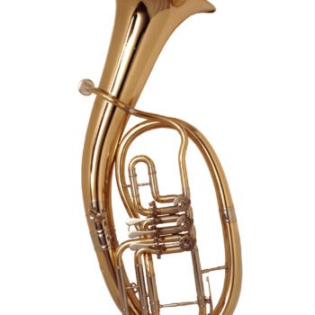 Tenorhorn