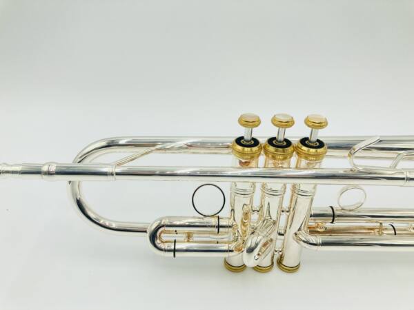 Detailaufnahme eines Blechblasinstruments von Kühnl & Hoyer